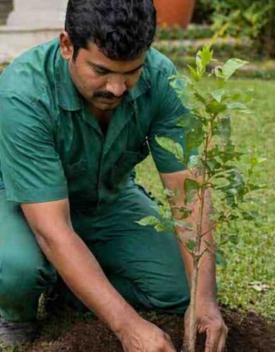 gardening-seva-susrusha